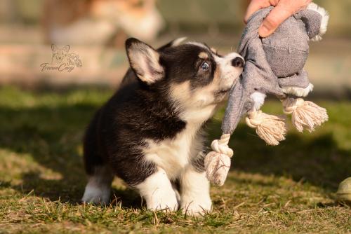 27029715 3e123b3cf6ed9e703912fc4f5a313441 xl