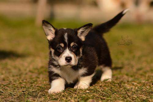 27029717 779cd43c8242e6fef0bd83aa57ce929e xl