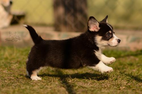 27029719 706f7237168685ad3476b928f5be3c9c xl