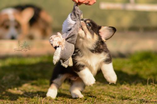 27029721 508e347ff9b9615fbf2ee970b0453eab xl