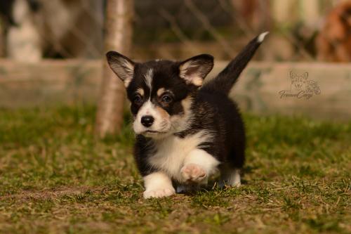 27029723 81e8c5919e9974871223eb0c9dcd191b xl