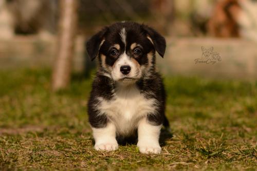 27029725 d3b61371e4f083abead4d96d26c9eb6e xl