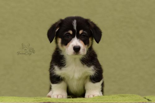 27031045 b2f0dd2f3000a8544424b3fd64d649f5 xl