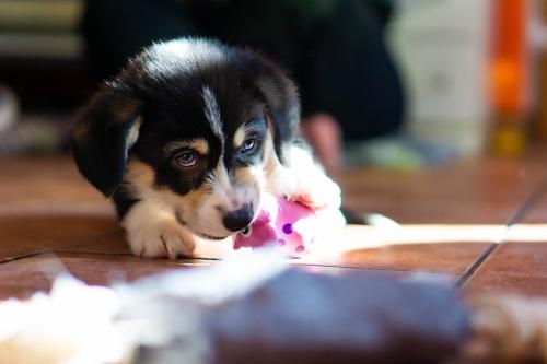 27034955 faa7e0998e979564a91cea7ec5ab71a9 xl