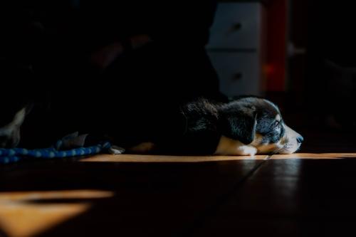 27034969 65b8a6f1cf6ab9ea604d4c3cde9184cf xl