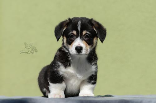 27034999 0b94e607f34ad36cc66dc48972927a31 xl