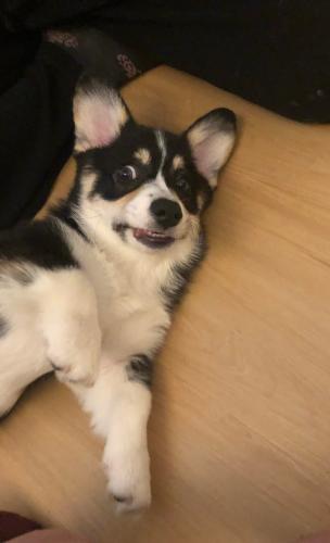 27046147 f705ce66e6f69bb2ed02efb6fbe33d2d xl