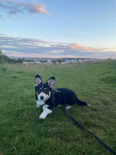 27080941 6141d0166521ec019530c318386f68d0 xl