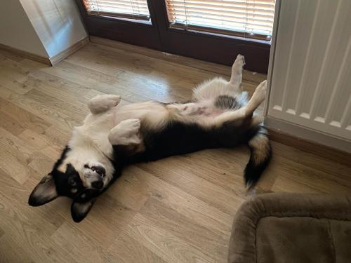 27139160 c9125f80eacb57ed050a2a799e673487 xl