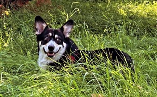 a370044905 10227652505611216 1694050812726812828 n