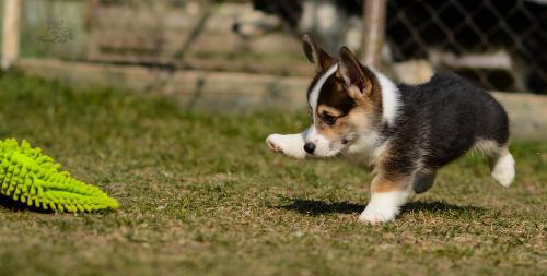 27044823 13512d97c8b82876a366387376ab4213 xl