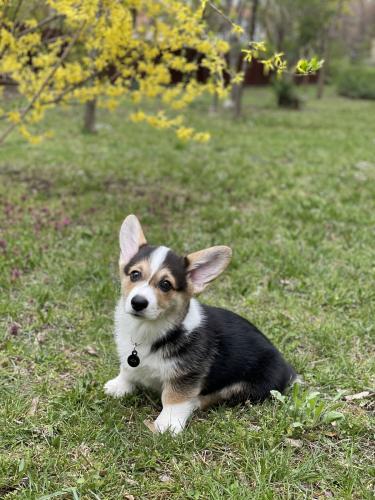 27044825 d39418bc3d69682f1c7b286a637936e1 xl