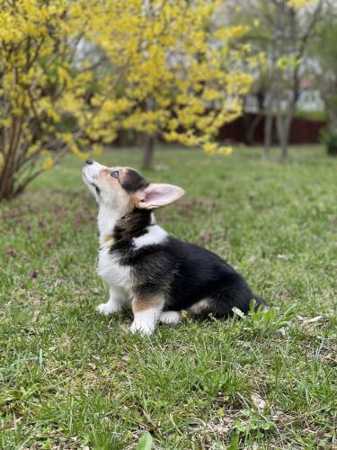 27044827 59b5efcb49b8ed21f912aa9bdc5d1ebd xl