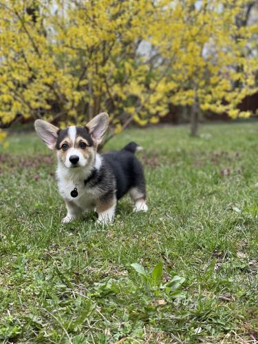 27044829 81aea57e25adeecf4c5bce8bf7a969f2 xl