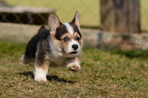 27044847 eb3c4db2b4b3e2a62f9264ae5e0d9f1a xl