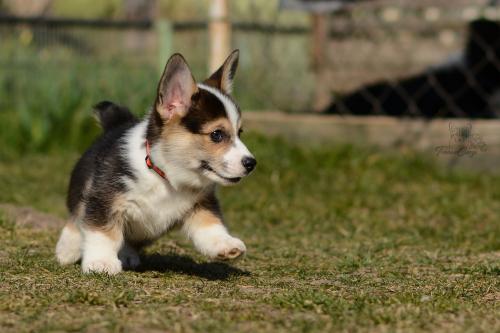 27044849 a4d794e03bde6b763c8d8cdd54607f1d xl