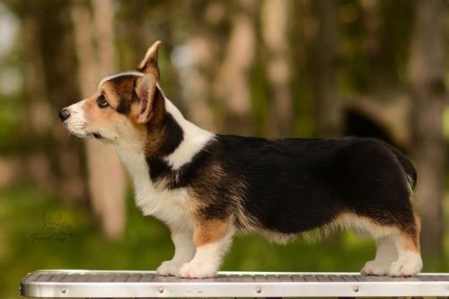 27061069 bd0afe7c8dc1b85a20aca99eee1dbfc8 xl