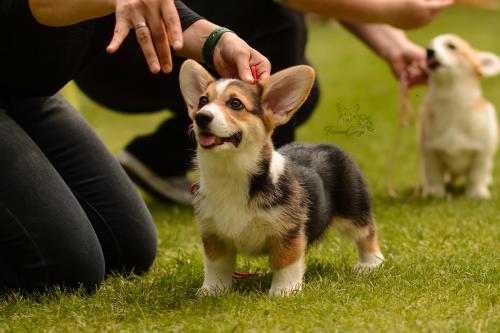 27061073 da3192d1b602afeff187af0bf58b99f6 xl