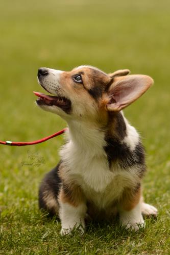 27061075 be5f06a08bee550582d1c76a9c76f37a xl