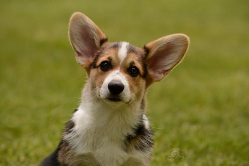 27062091 9a2bff44e400686a7aaa6cfe074ac92a xl