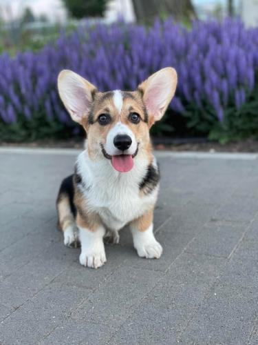 27080921 b86d954f01bc37f72ae7763dac718aed xl