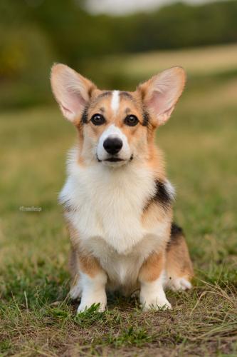 27108971 6ba1d1d1f1d15c5b8248aa380eac7f16 xl