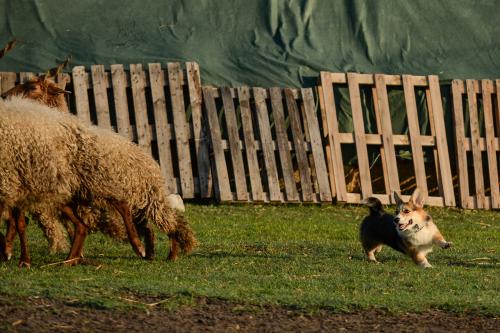 27109111 07330d6dc6d5840d559a8a185a2a00ec xl