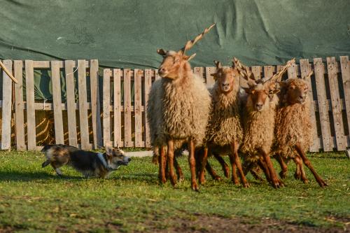 27109127 9ca2397d1096a3295d1a02687d6a2d05 xl