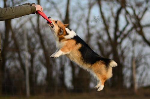 27171628 320f21dd129c3d1b5516695d3365cbaf xl