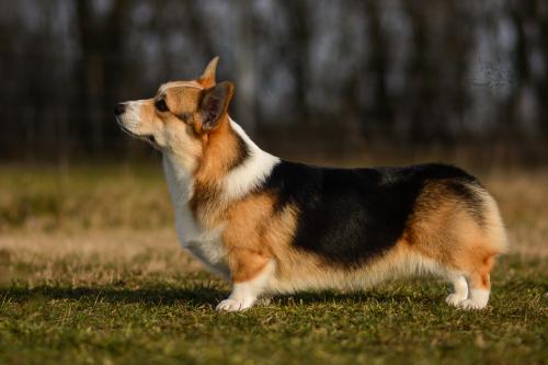 27171630 6c0fe02792ece11d92e98ed3ae98a009 xl