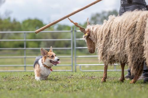 27191928 67fca375b116759e223cec4a97a9bc8b xl