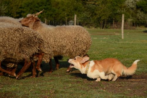 27108963 094aa27b9f8e00d01dfe5aa512abdd7f xl