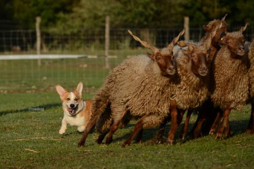 27108965 3856476114018541fa1b3a30d598f1d1 xl