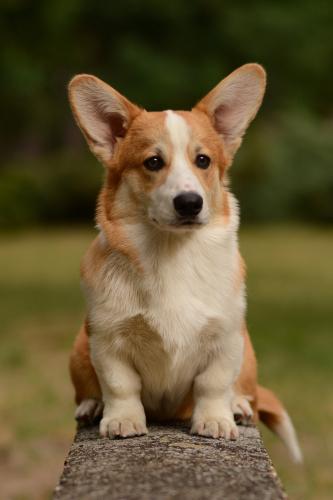 27108967 fce1da656d8afd78c1f274c87b133871 xl