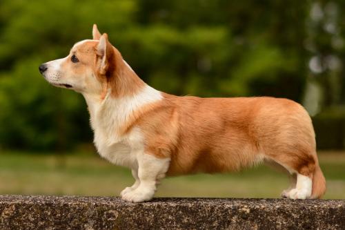 27108969 7b77e132b0b2d647cfbccfed06f9aed9 xl