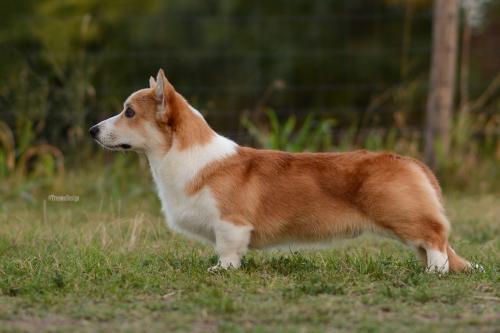 27109117 e4ad57005bcc9a74eebe8f184f38de9a xl