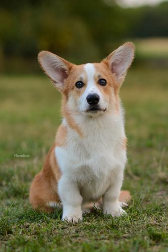 27109125 47c2f368edda57a0c4ea1a45477fa26b xl