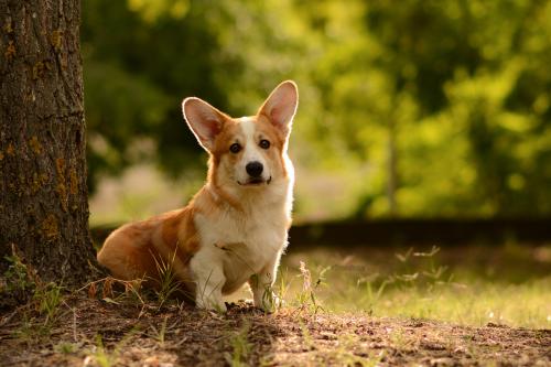 27116040 04d36fc26d698955761f5a9507586da6 xl