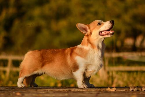 27139196 6ce1663ddd5487daf45d77c2a54c43be xl