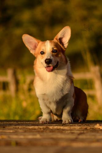 27139198 c750597d38033d154de6c514b2e98df6 xl