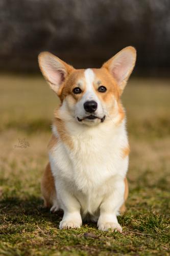 27173414 c88836bed424f87ca220eb270f02cb60 xl