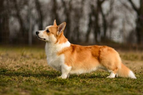 27173416 2ca8ab2f687adff6c28066f7f30ee3e7 xl