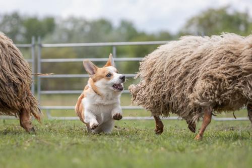 27191936 5101d58f7142210440349b23929073f4 xl