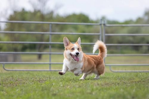 27191938 0c0449fa45096bb2863cc3ffde74e434 xl