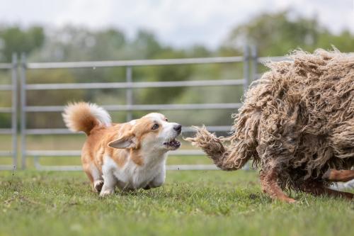 27191940 f197322dd43b73bed2841ccde4ac8be5 xl