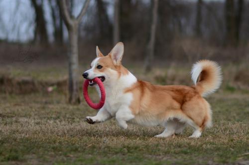 27249698 67725dfbfcfd07e3faecd2a1413d8607 xl