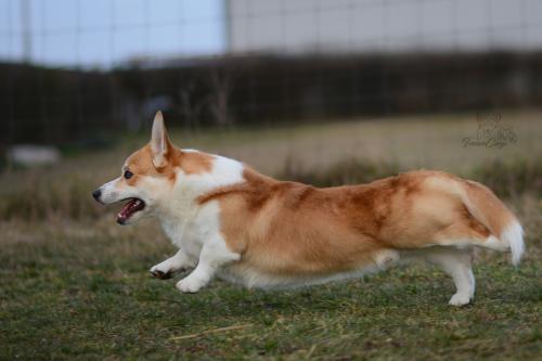 27249700 4285ecdb2e91bb05aafa760cc9ef8a65 xl