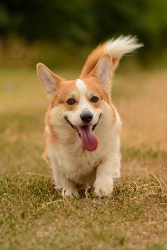 27319850 976f720285164e6a5835070f20ec6c9c xl