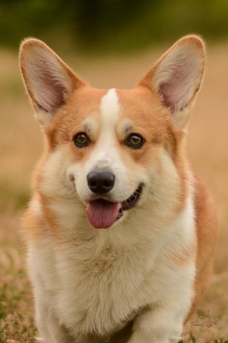 27319852 413153a85b012ed1514aa4bf0cd02cd9 xl