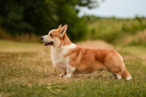 27319854 ad1444c293bde163bec635628f8e82b8 xl